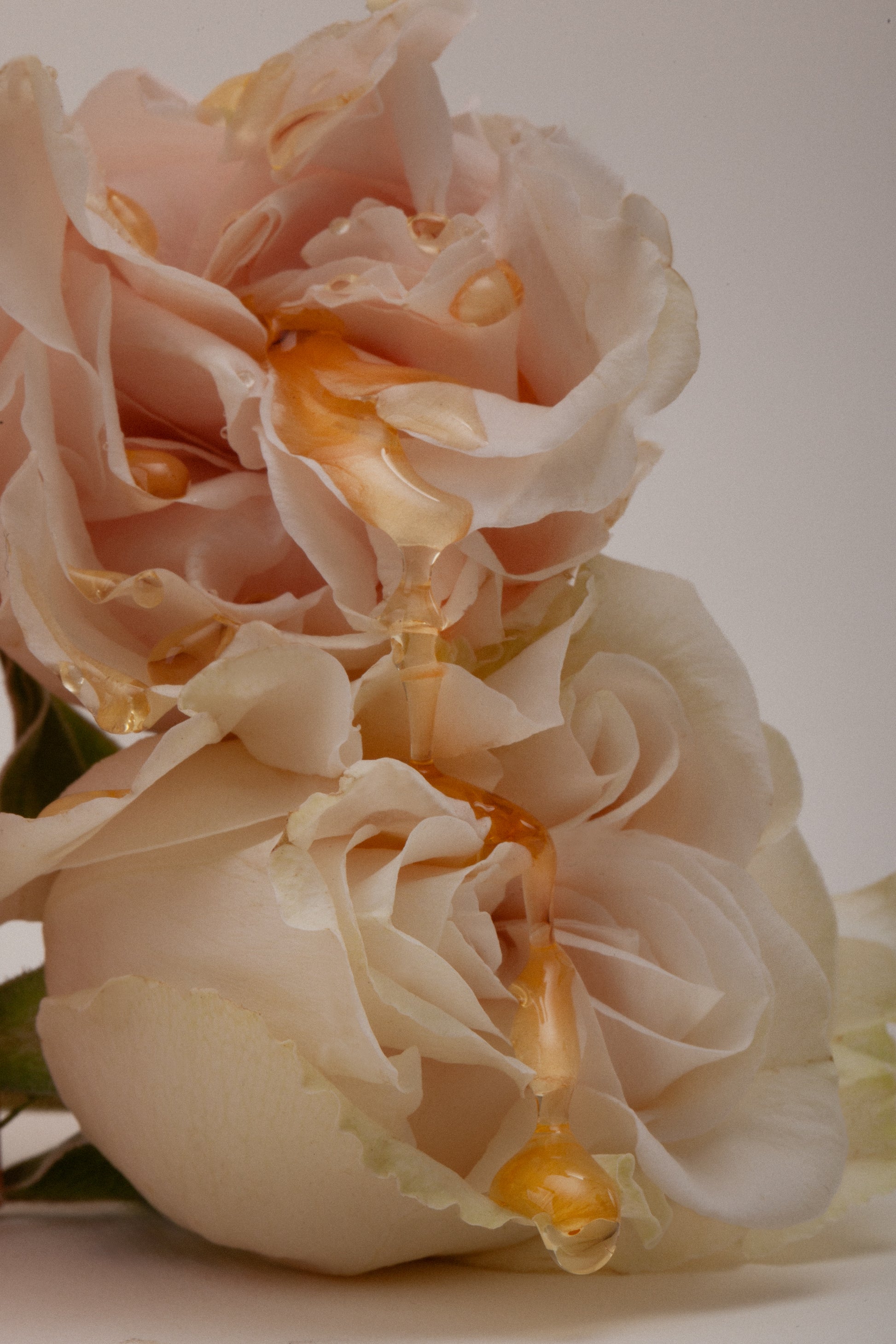 Tobacco Wild Rose Candle