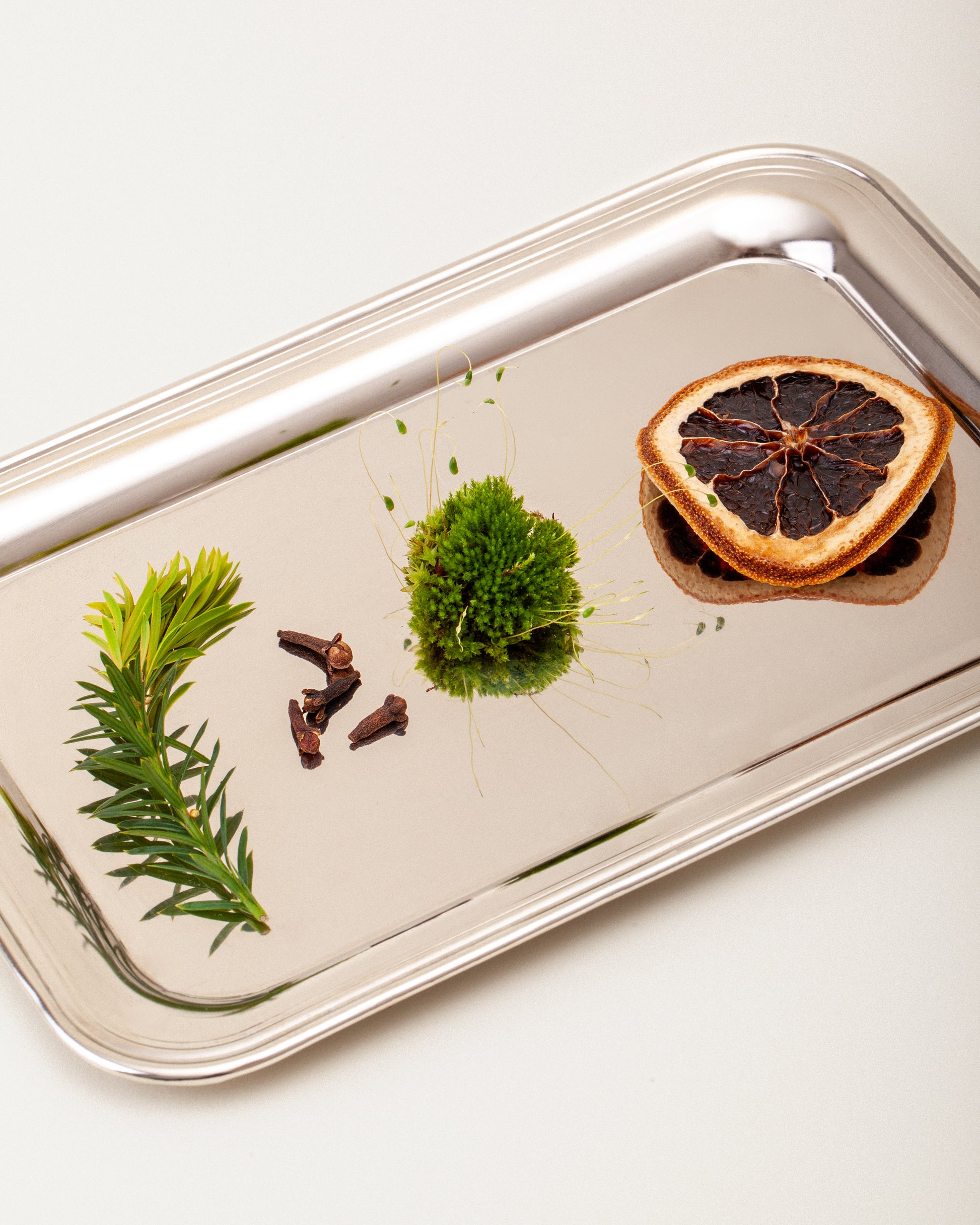 Balsam Fir Neroli Candle