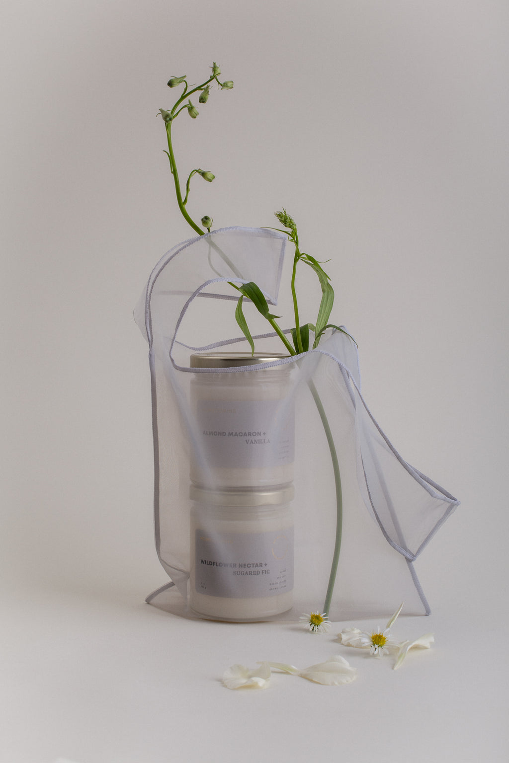 Almond Macaron + Vanilla