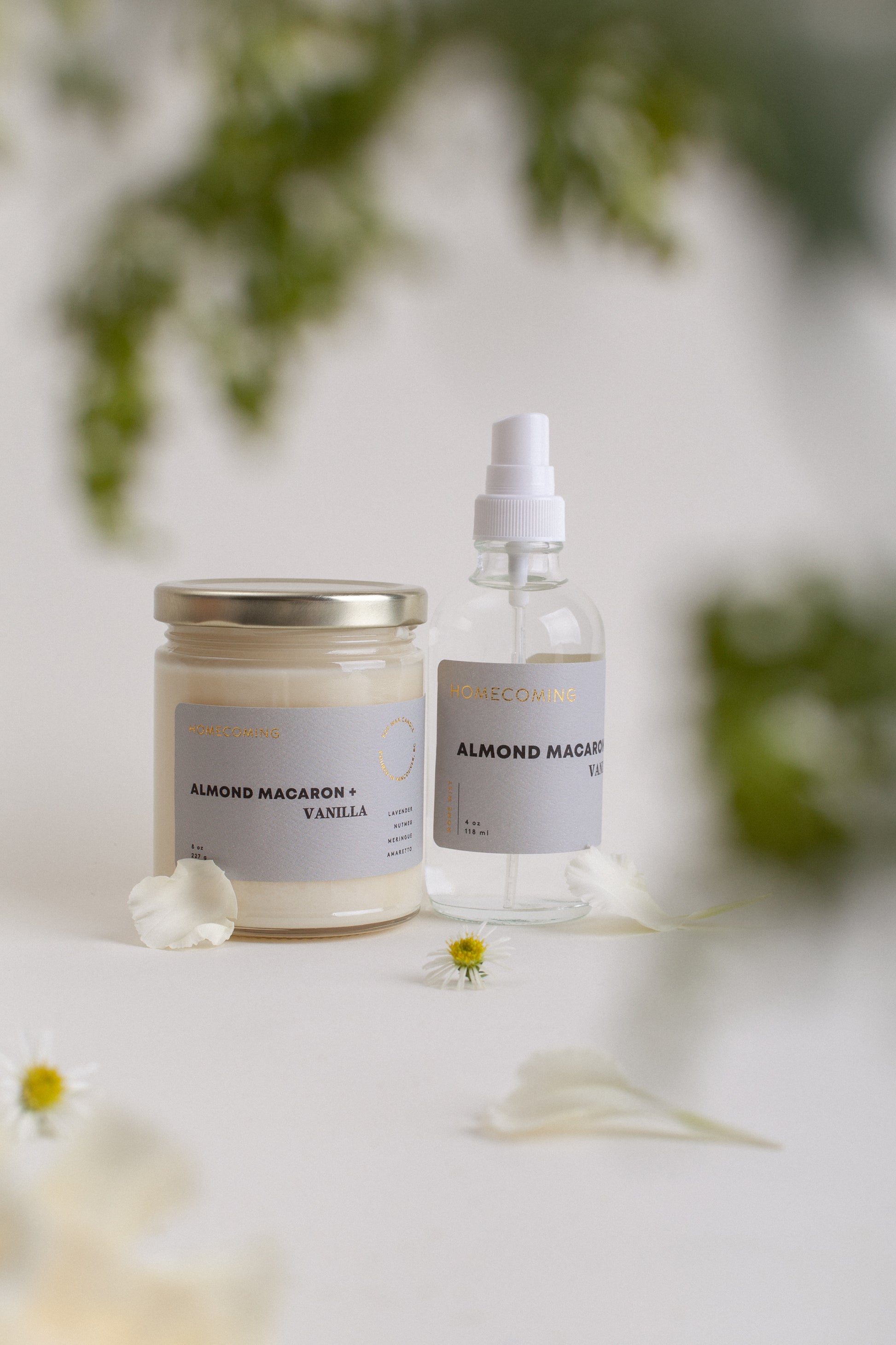 Almond Macaron + Vanilla